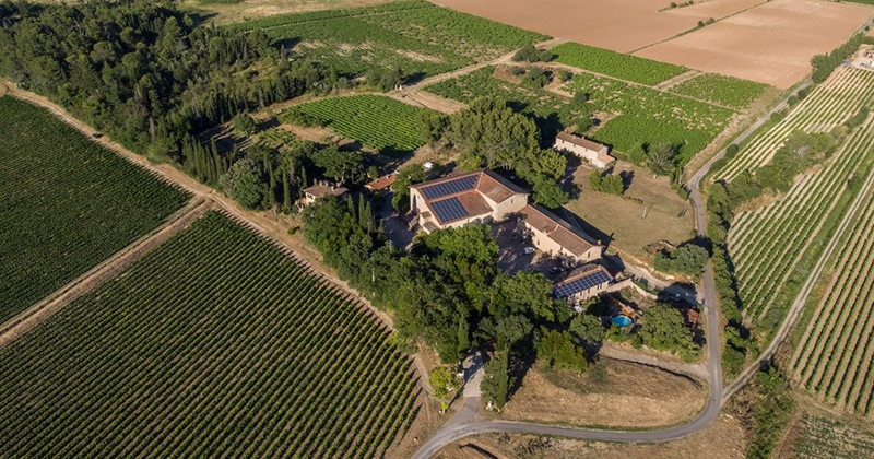 Domaine La Conseillère à Montagnac - Un jeu de piste dans les vignes