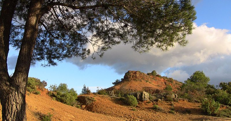 Oenorando à Montagnac - Hérault